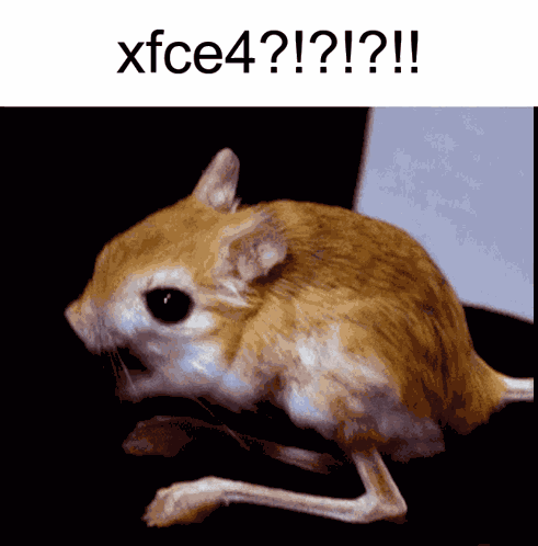 Xfce4 Linux GIF