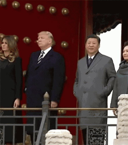 Xi Jinping Donald Trump GIF