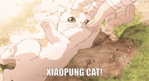 Xiaopung Ybgxiaopung GIF