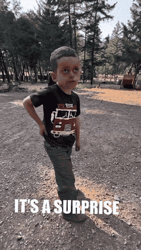 Xllcarolinellx It'S A Surprise GIF