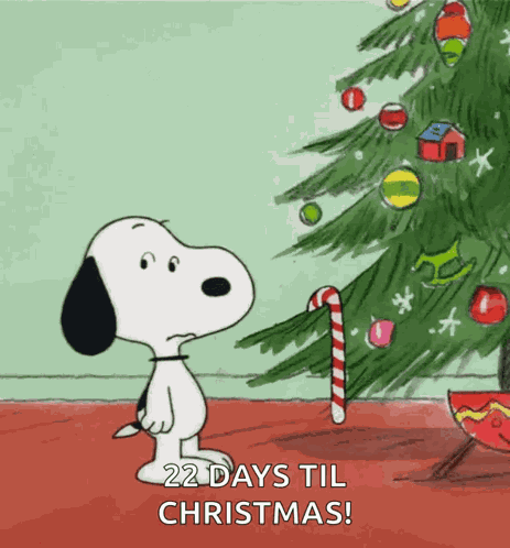 Xmas Christmas GIF
