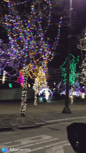 Xmas Lights Hanging Lights GIF