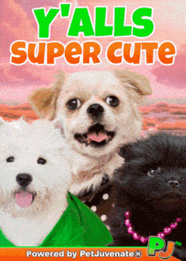 Yalls Cute Super Cute GIF