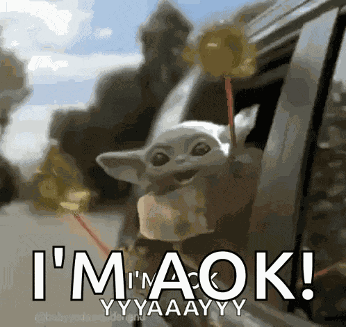 Yay Baby Yoda GIF
