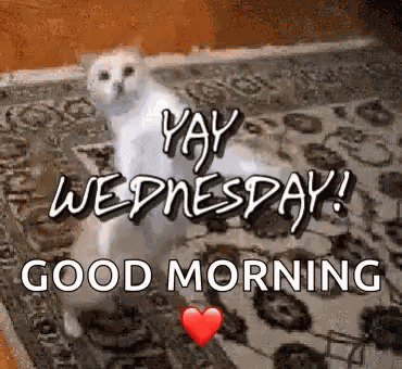 Yay Wednesday GIF