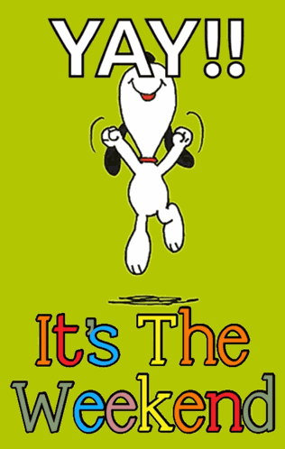 Yay Yay It’s The Weekend GIF
