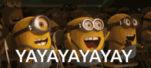 Yay Yippie GIF