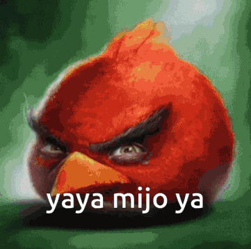 Yaya Mijo Ya Ya Ya Mijo Ya GIF
