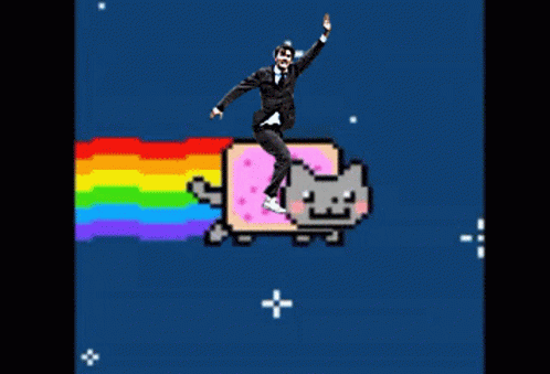Yeah Cat GIF