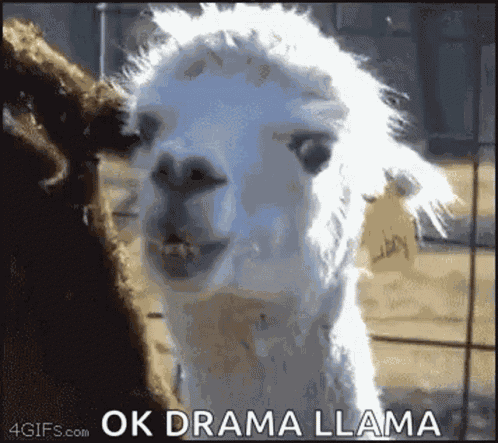 Yeah Ok GIF