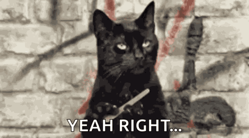 Yeah Sure GIF