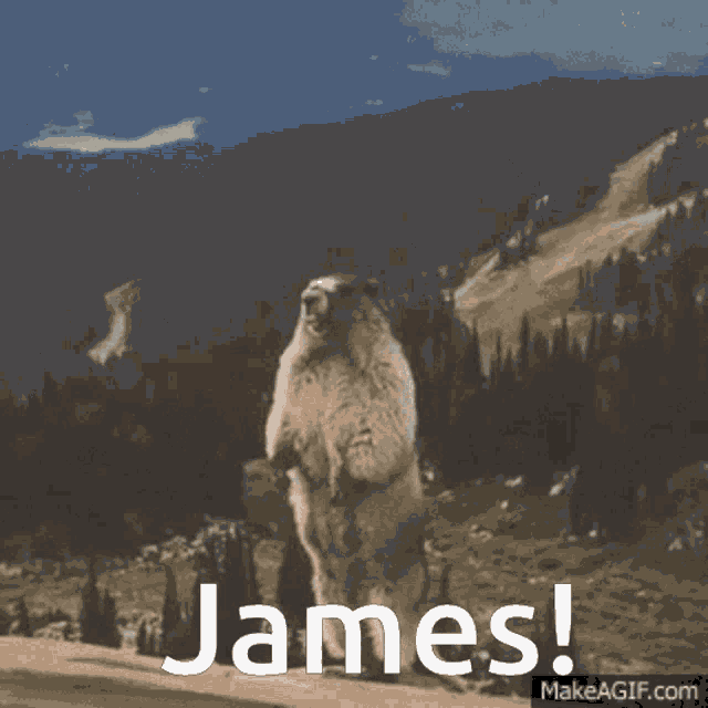 Yelling James James GIF