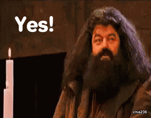 Yes Hagrid Wtg GIF