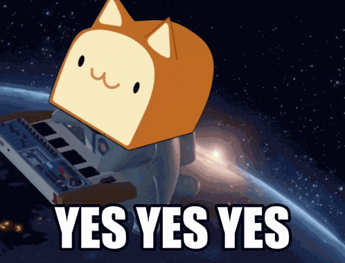 Yes Meow GIF