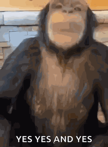 Yes Monkey GIF