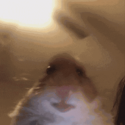 Yessir 4t GIF