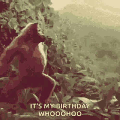 Yesss GIF