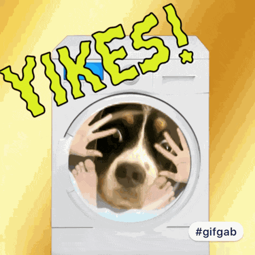 Yikes Funny Dog GIF
