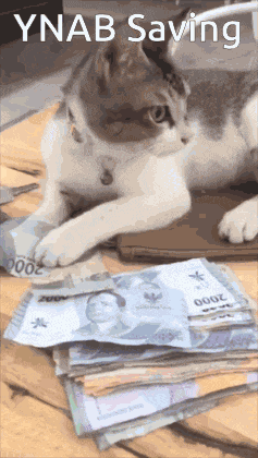 Ynab Cat Money GIF