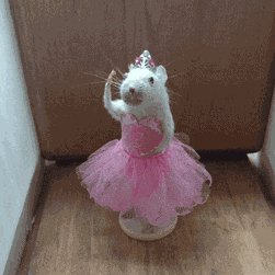 Yo Bro Why Is My Mouse Acting Like A Princess Meme