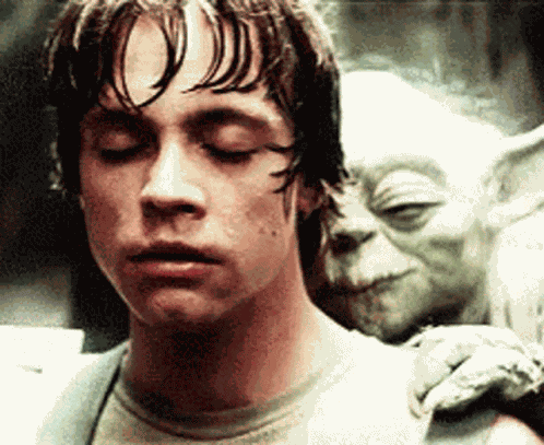 Yoda Luke Skywalker GIF
