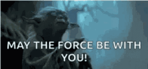 Yoda May GIF