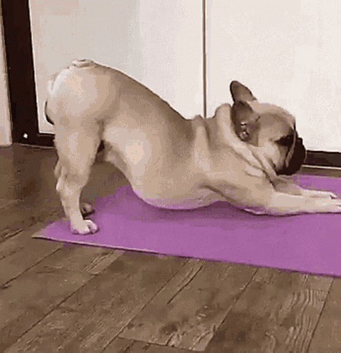 Yoga Meditation GIF
