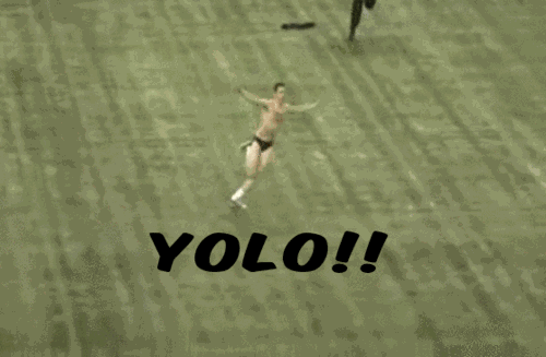 Yolo GIF