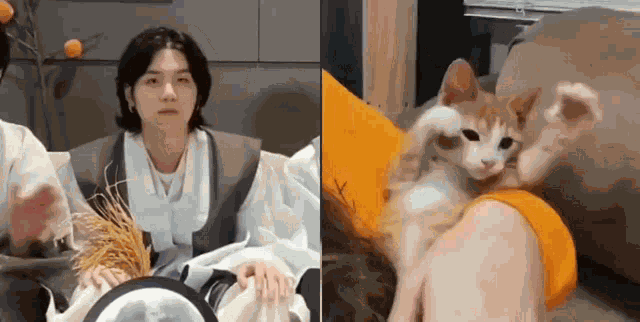 Yoongi Cat Suga Cat GIF