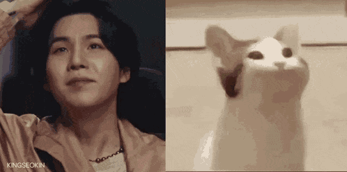 Yoongi Pop Cat Yoongi Cat GIF