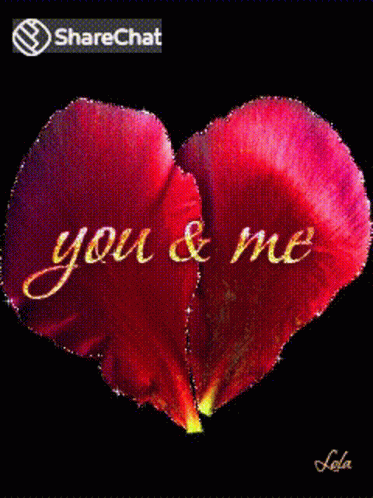 You And Me Petals GIF
