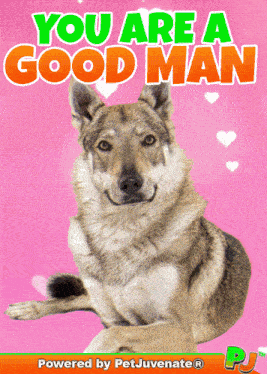 You Are A Good Man Good Morning My Man GIF