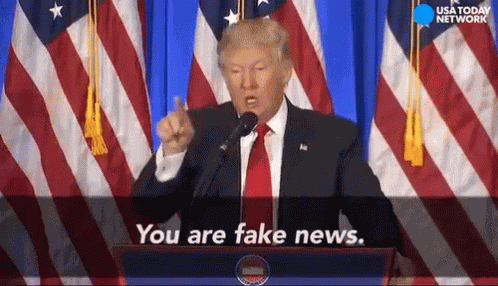 You Are Fake News Donald Trump GIF