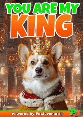 You Are My You Are My King GIF