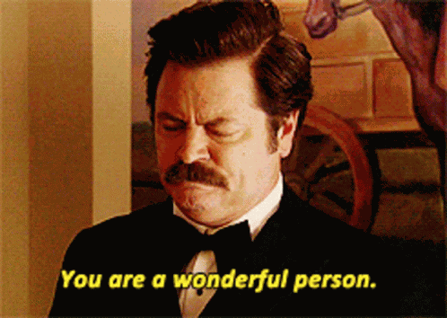 You Are Wonderful Person Parks And Recreation GIF