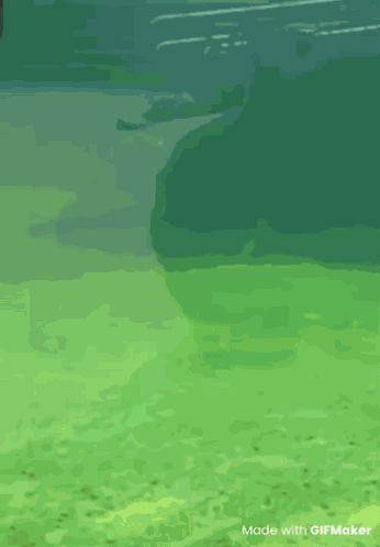 You Busy Are You Busy GIF