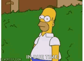 You Cant See Me Homer GIF