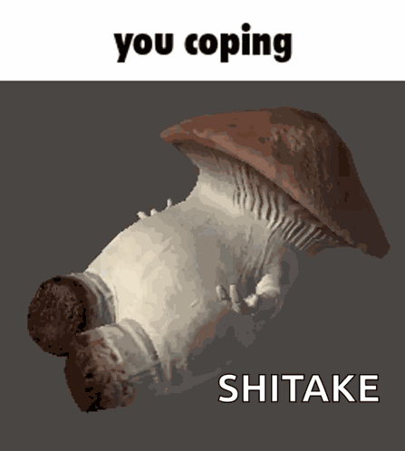 You Coping Cope GIF