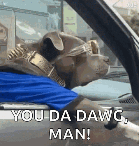 You Da GIF