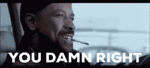 You Damn Right GIF