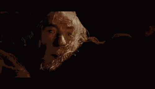 You Fool GIF