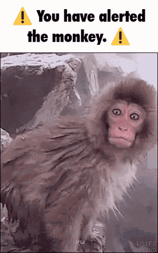 You Have Alerted The You Have Alerted The Dog GIF