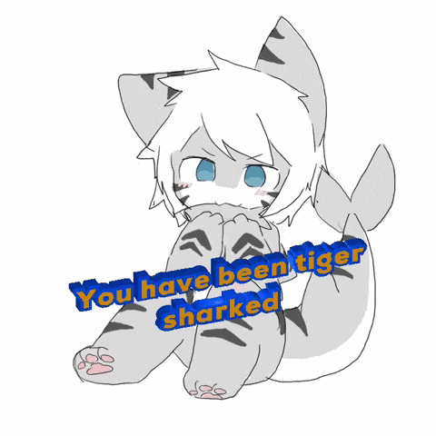 You Have Been Tiger Sharked GIF