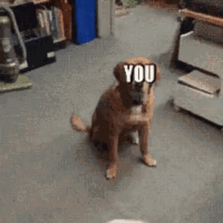 You Joke Not Affected GIF