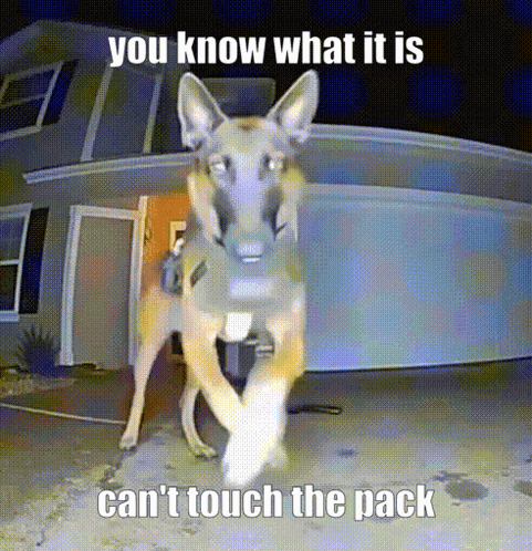 You Know What It Is Can'T Touch The Pack GIF