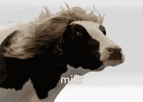 You Milking GIF