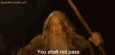 You Shall Not Pass Gandalf GIF
