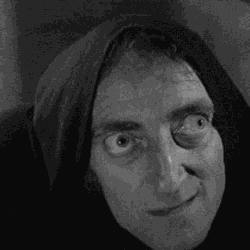 Young Frankenstein GIF