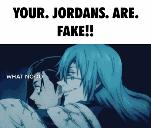 Your Jordans Are Fake Jordans GIF