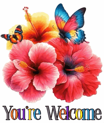 Your Welcome Youre Welcome GIF